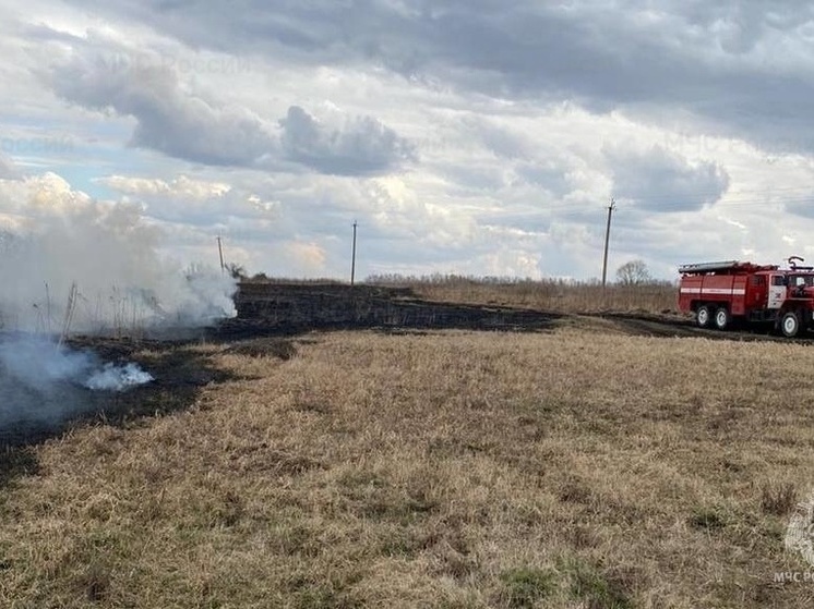 На Орловщине зафиксировали первый в этом году случай горения сухой травы