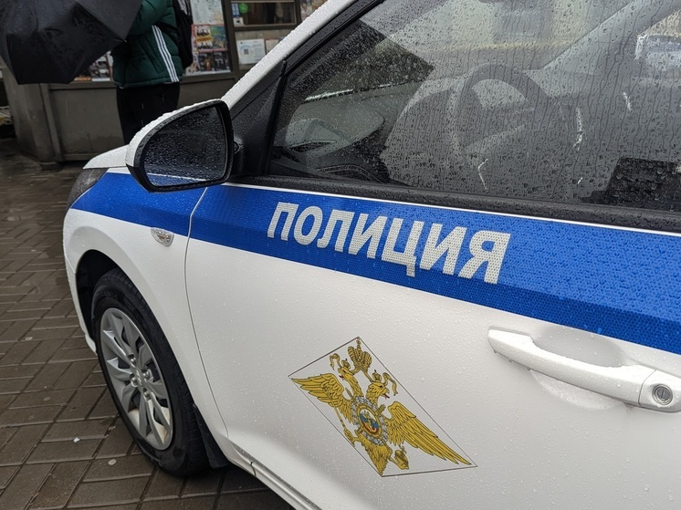 Полиция Петербурга задержала десятого члена преступной группировки из 90-х