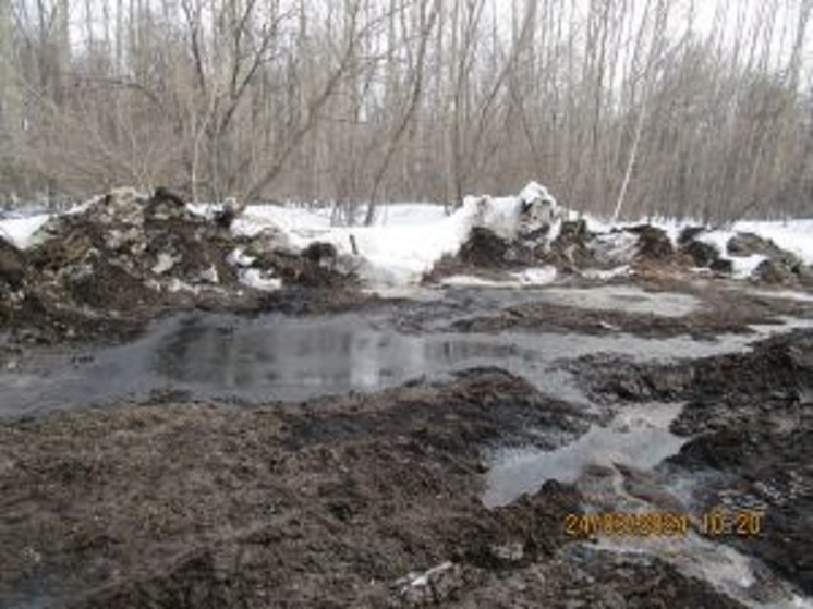 В Пономаревском районе зафиксирован разлив нефти на большой площади