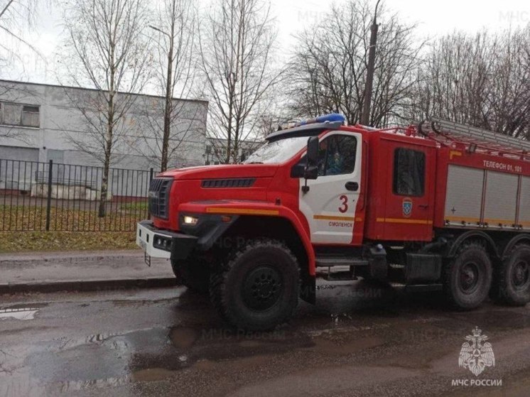 В Смоленской области в Анастасьино произошло возгорание двух квартирного жилого дома