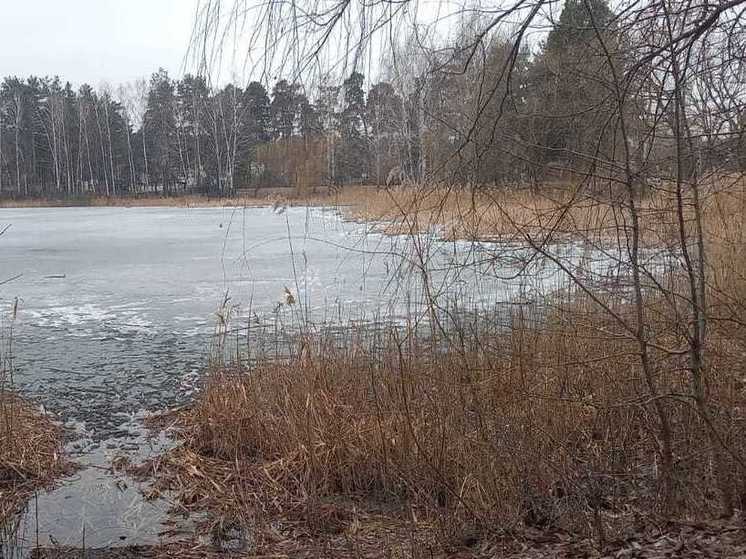 В Тамбовской области уровень воды в реках повысился от 1 до 23 см