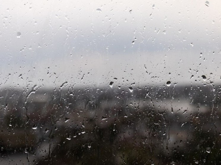 В Воронеже март завершится дождями