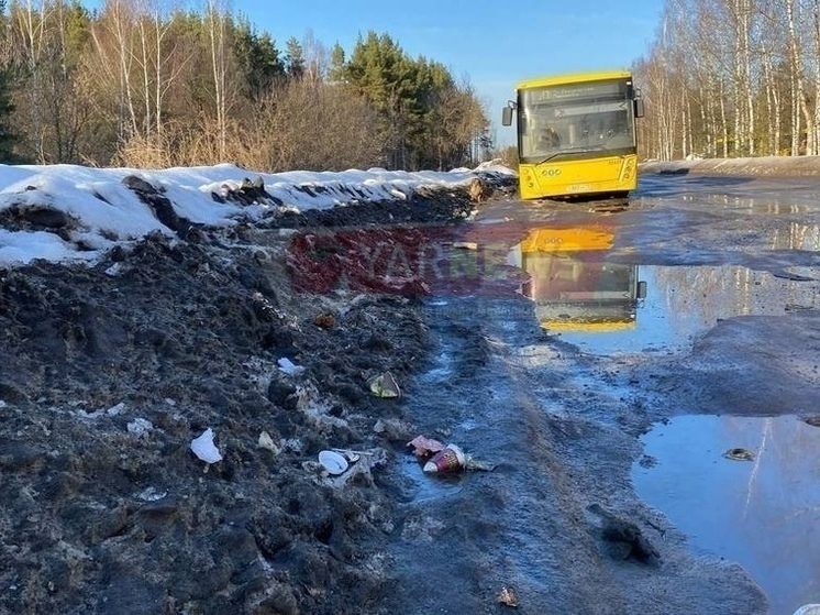 Ярославцы возмущены стоянкой автобусов у автовокзала - напоминает мусорку