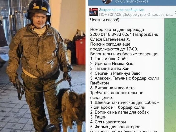 Кинолога из Новосибирска обвинили в мошенничестве после теракта в «Крокус Сити»