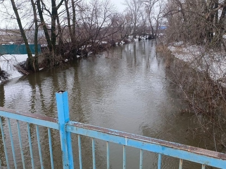 В Оренбургской области максимальный подъем воды в реках Урал и Орь