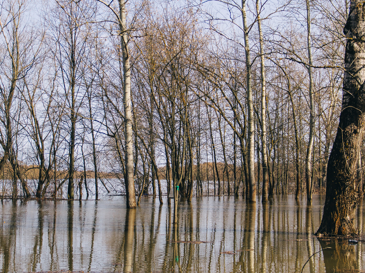 МЧС: За сутки уровень воды в Оке в Рязани повысился на 40 сантиметров