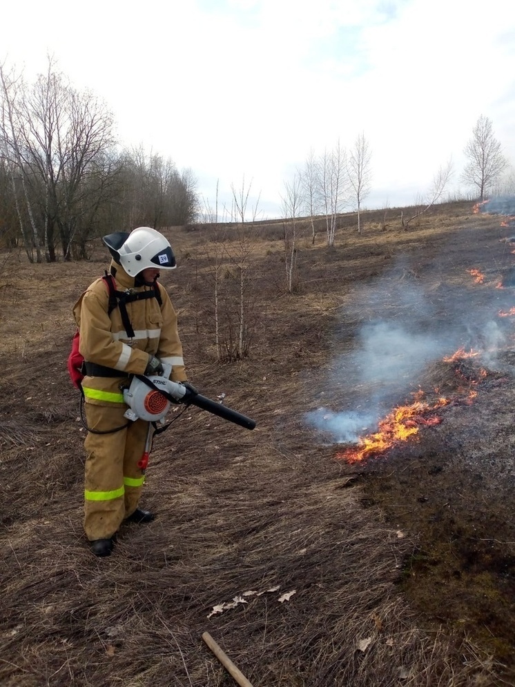 В Курской области 28 марта палы сухой травы потушили в четырех районах