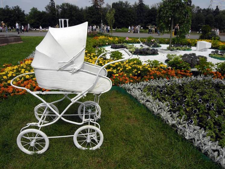 Рождаемость в РФ будет падать до 2035 года