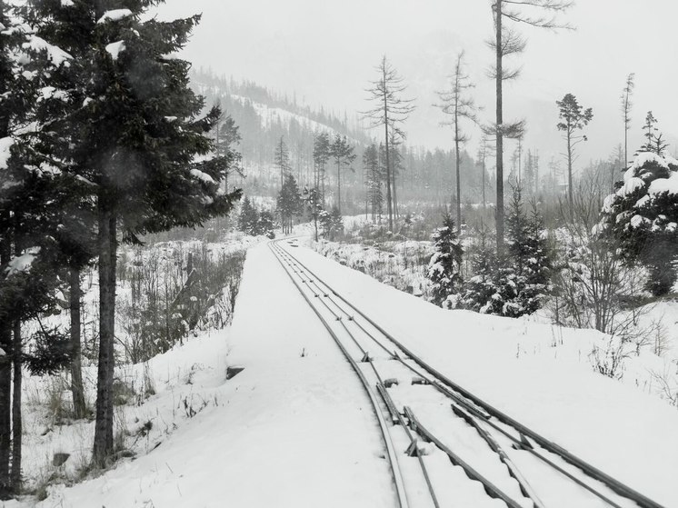 Грузовой поезд протаранил снегоход в Карелии