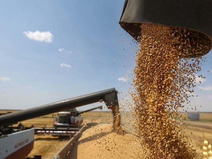 Из Орловской и Курской областей стали экспортировать больше зерна