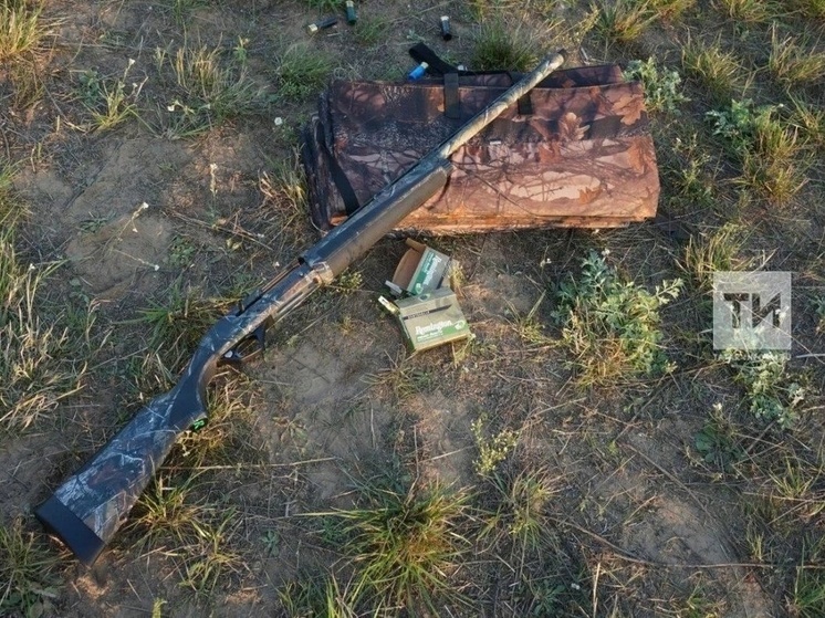 546 единиц оружия с начала года изъяли полицейские у жителей Татарстана