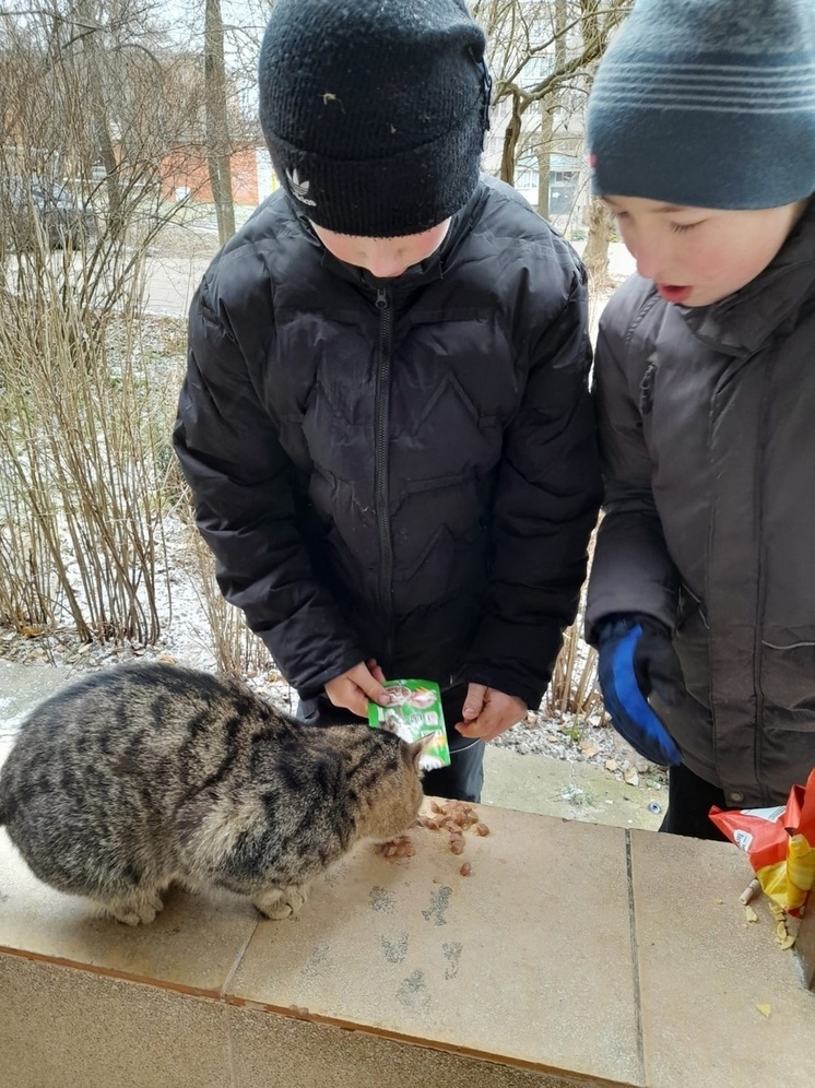 Молодежь Серпухова проводит благотворительные акции для животных