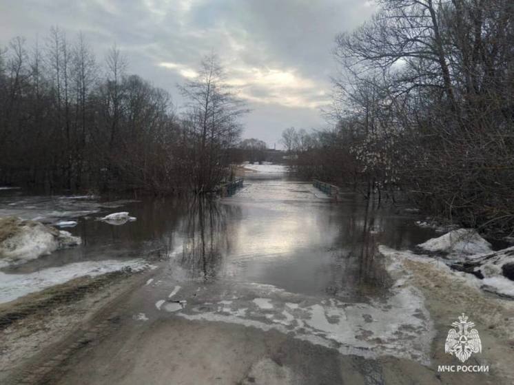 В Рязанской области подтопило 2 низководных моста
