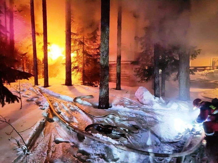 Столб огня взвился в сосновом бору в Костомукше