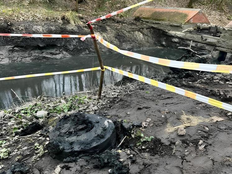 У берегов Литовского ручья нашли противопехотную мину