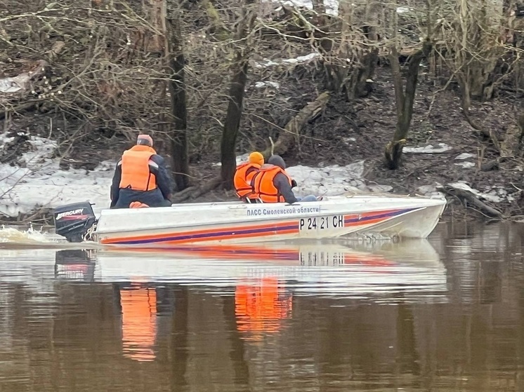 В Смоленске завершены поиски утонувшего в феврале на Днепре мальчика