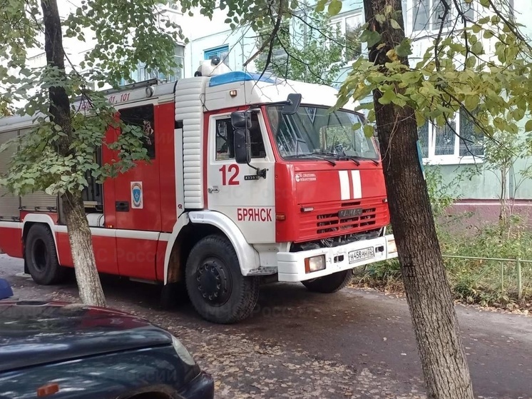 В Бежицком районе Брянска загорелась квартира