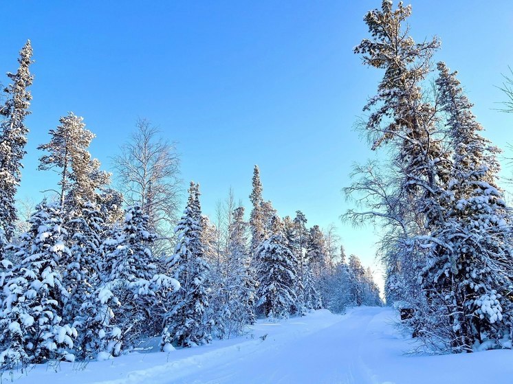 На Ямале с ограничениями разрешили проезд по зимнику Коротчаево — Красноселькуп