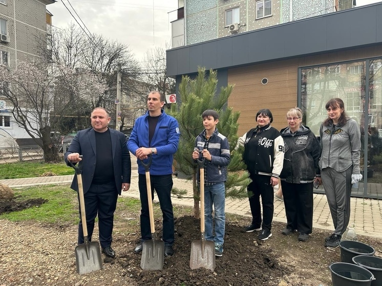 Депутат Зорик Садоян организовал работы по озеленению в Краснодаре