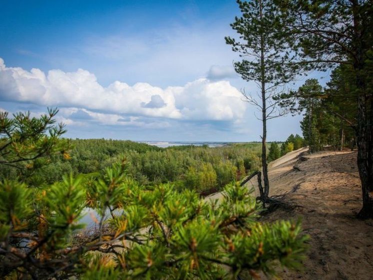 В Якутии увеличили финансирование на борьбу с лесными пожарами