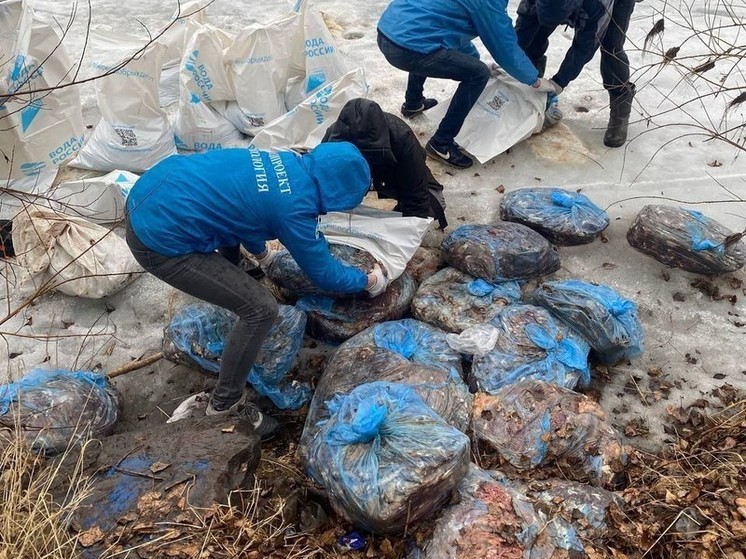 В одну из рек Хакасии выбросили более 25 мешков с отходами от переработки рыбы