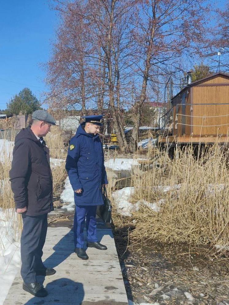 Что убило рыбу в озере Шиблево в Алатырском округе выясняет прокуратура