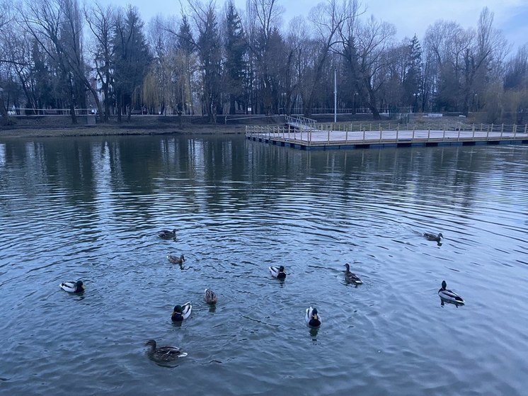 В субботу белгородцев ждут теплая погода и дожди