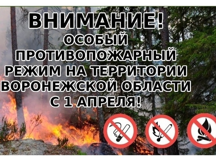 В 2024 году разжигателей костров в Воронежской области оштрафуют на 20 тысяч рублей