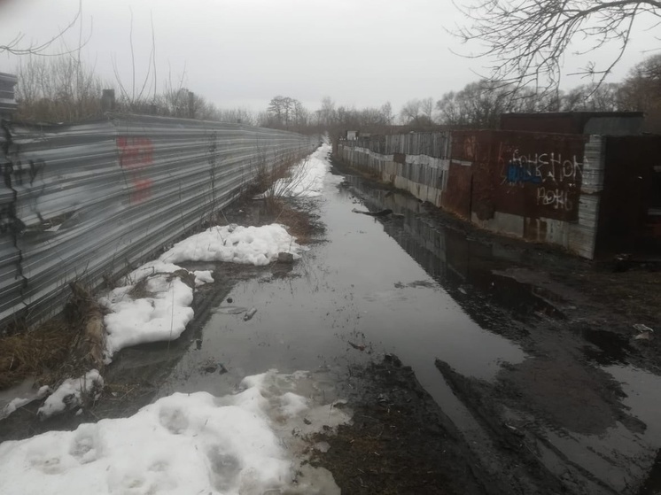 В Тамбове в реку Жигалка сливают канализационные стоки