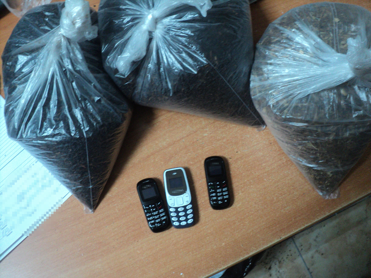 В Прикамье в СИЗО пытались доставить телефоны