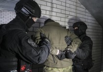 В Ставропольском крае задержаны трое граждан Центральной Азии, которые готовили террористический акт в месте массового пребывания людей