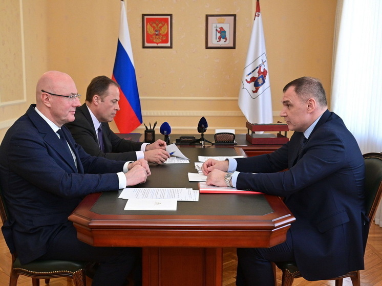 Дмитрий Чернышенко обсудил с Главой Марий Эл вопросы развития республики