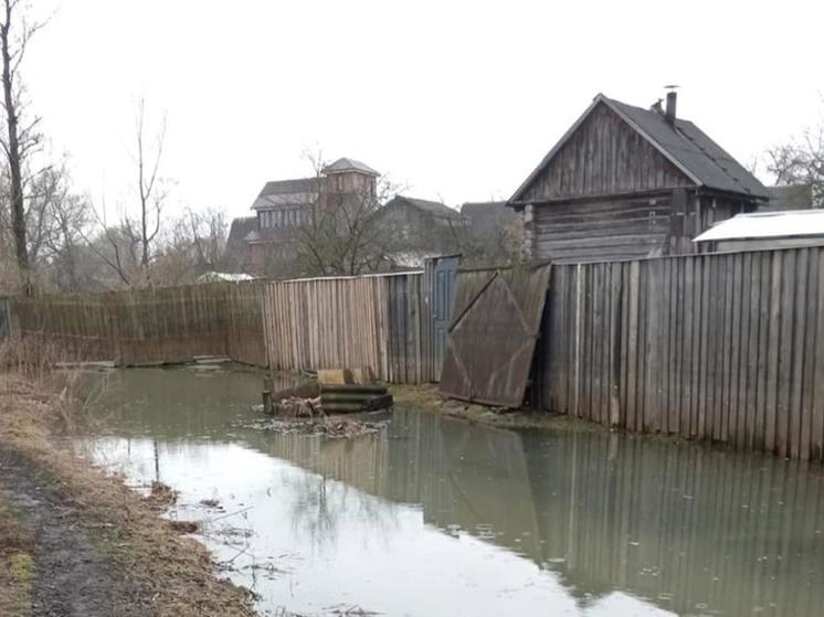 Из-за паводка 50 приусадебных участков затопило в Брянской области