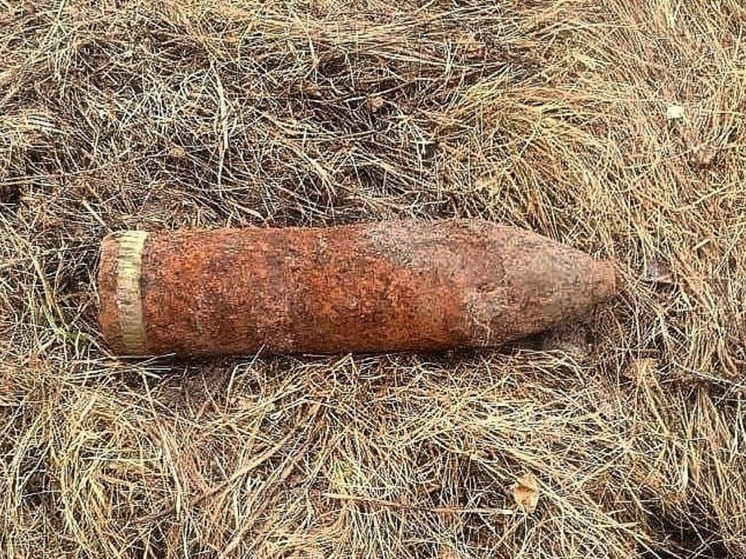 В Петергофе нашли снаряд времен Великой Отечественной войны