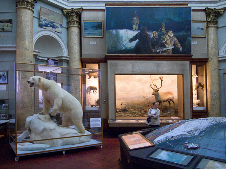 Музей Арктики и Антарктики в Петербурге откроет интерактивный комплекс