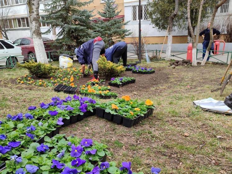 Новая городская программа «Цветы у дома твоего» стартовала в Кисловодске