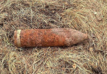 Артиллерийский снаряд времен Великой Отечественной войны нашли в Петергофе. Его уничтожили на полигоне, сообщили в пресс-службе ГУ Росгвардии по Петербургу и Ленобласти.