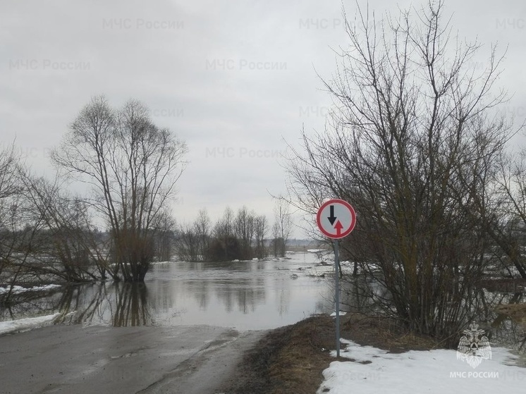 Под воду ушел мост в Мичуринском округе