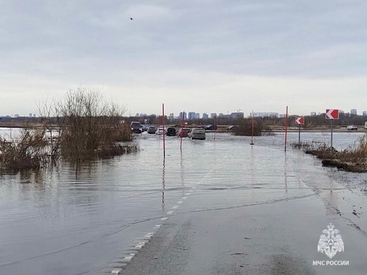 В Рязанской области подтопило низководный мост и участок автодороги