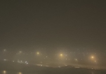 Желтый уровень погодной опасности объявили в Ленобласти. На регион опустится густой туман, предупредили в Гидрометцентре России.