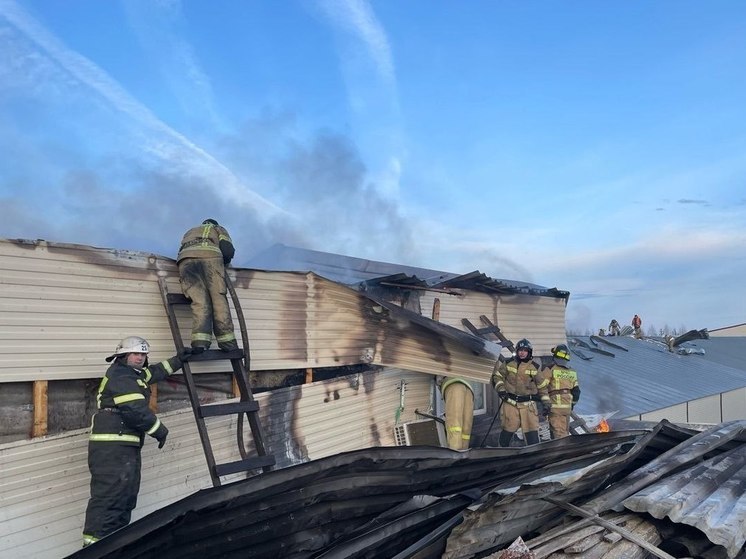 Пострадавший в ночном пожаре в Кировской области «Holz House» продолжит работу