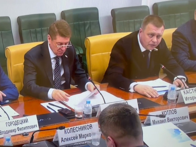 В Совфеде обсудили программу обучения муниципальных служащих из новых регионов