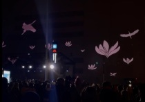 У стен "Крокус Сити Холл" вечером в субботу зажгли фигуры журавлей, составленные из свечей