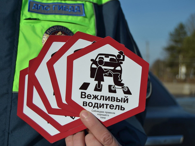 Сотрудники отделения Госавтоинспекции МО МВД России «Починковский» провели акцию «Вежливый водитель»