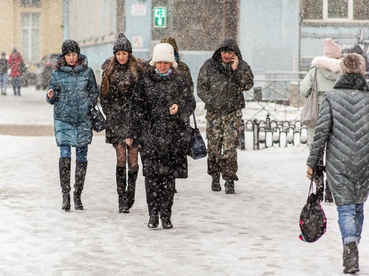 В Новосибирске похолодало до +2 градусов и пошёл мокрый снег