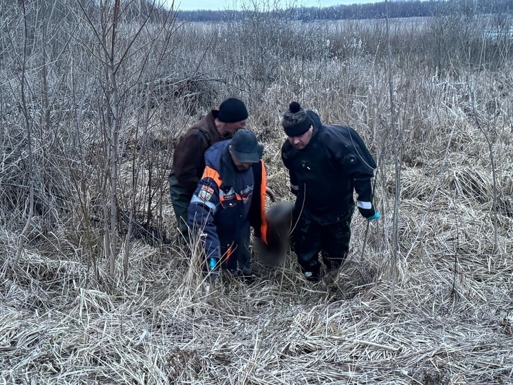 В Курской области из пруда в деревне Булгаковка достали тело мужчины