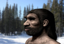 Ученые получили новые сведения о доисторических таинственных денисовцах
