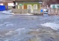 Талые воды спровоцировали масштабные паводки сразу в нескольких регионах России