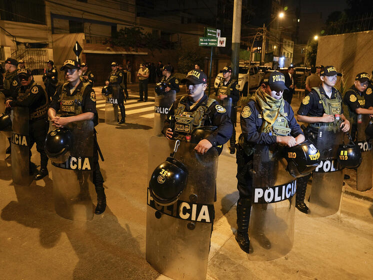 Правительство раскритиковало вторжение в президентскую резиденцию