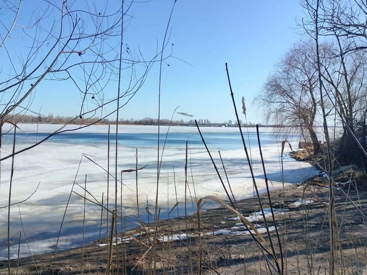 В Саратовской области вскрылись ото льда 36 рек